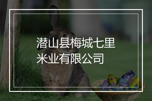 潜山县梅城七里米业有限公司