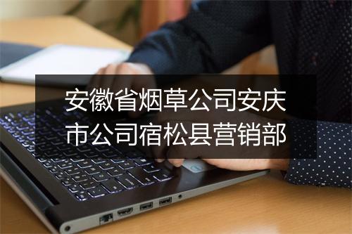 安徽省烟草公司安庆市公司宿松县营销部