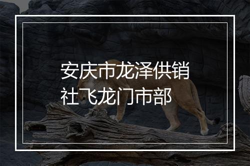 安庆市龙泽供销社飞龙门市部