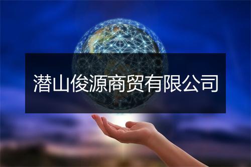 潜山俊源商贸有限公司