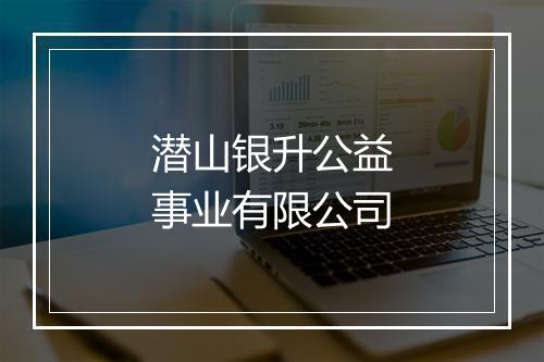 潜山银升公益事业有限公司