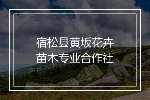 宿松县黄坂花卉苗木专业合作社