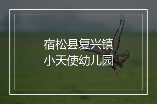 宿松县复兴镇小天使幼儿园
