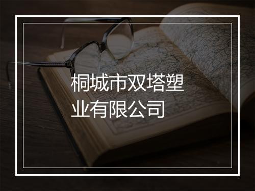 桐城市双塔塑业有限公司