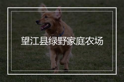 望江县绿野家庭农场