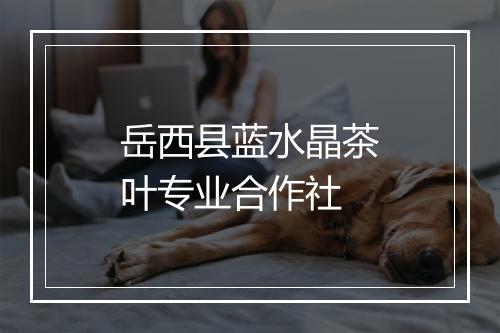 岳西县蓝水晶茶叶专业合作社