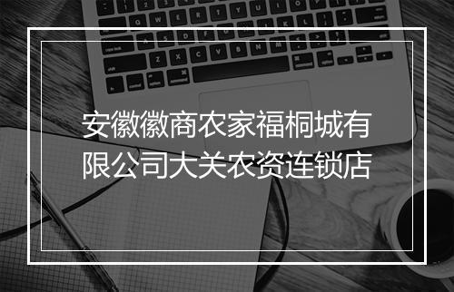 安徽徽商农家福桐城有限公司大关农资连锁店