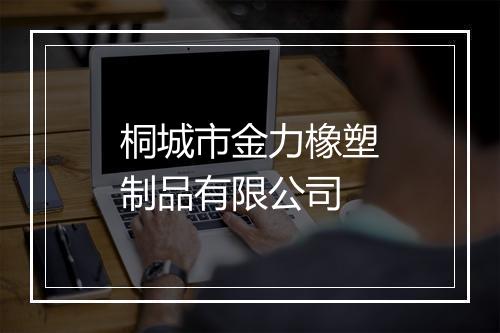 桐城市金力橡塑制品有限公司