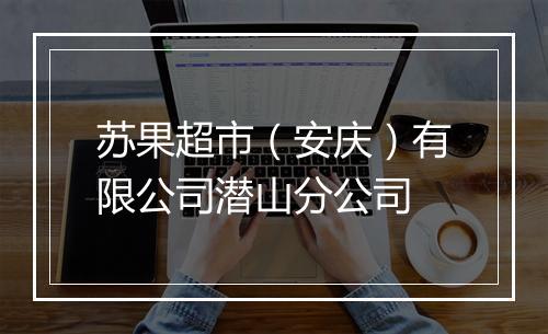 苏果超市（安庆）有限公司潜山分公司