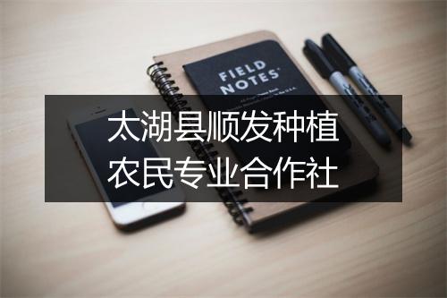 太湖县顺发种植农民专业合作社
