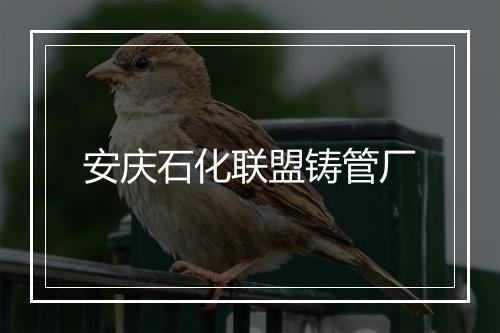 安庆石化联盟铸管厂