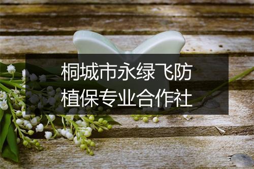 桐城市永绿飞防植保专业合作社