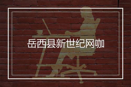 岳西县新世纪网咖