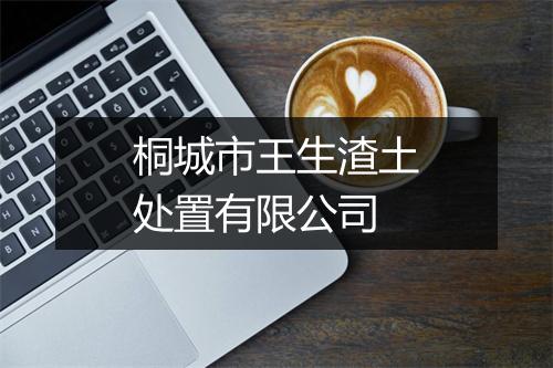 桐城市王生渣土处置有限公司