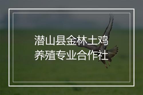 潜山县金林土鸡养殖专业合作社