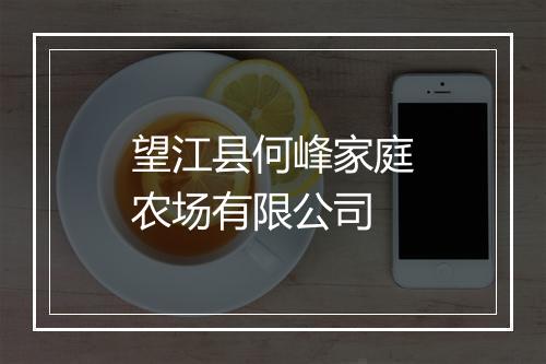 望江县何峰家庭农场有限公司