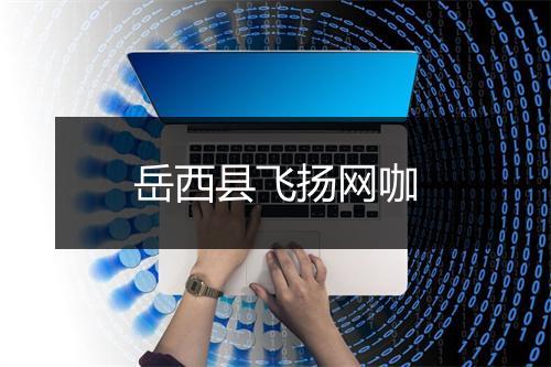 岳西县飞扬网咖