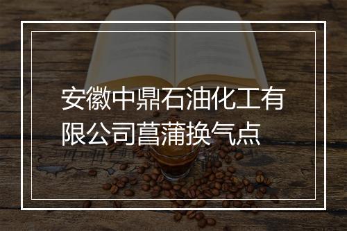 安徽中鼎石油化工有限公司菖蒲换气点
