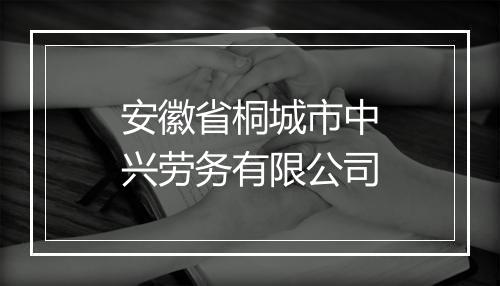 安徽省桐城市中兴劳务有限公司