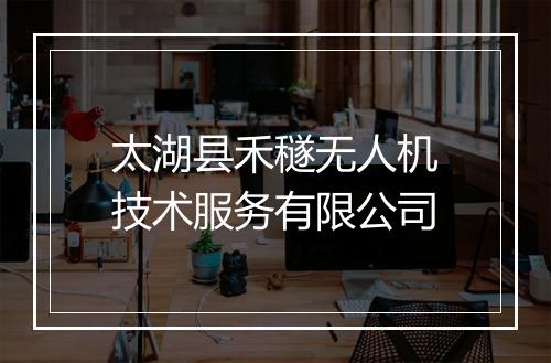 太湖县禾穟无人机技术服务有限公司
