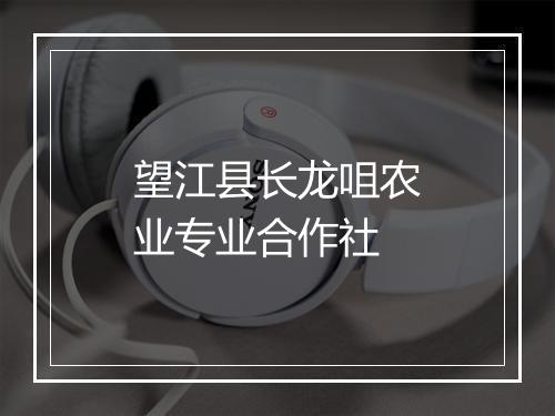 望江县长龙咀农业专业合作社