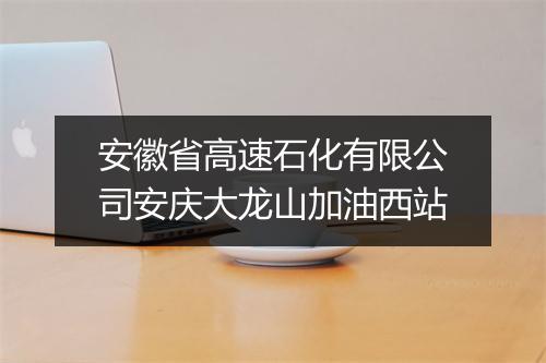 安徽省高速石化有限公司安庆大龙山加油西站