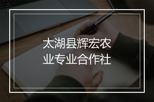 太湖县辉宏农业专业合作社