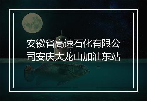 安徽省高速石化有限公司安庆大龙山加油东站