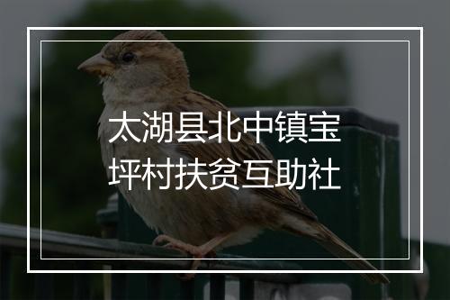 太湖县北中镇宝坪村扶贫互助社