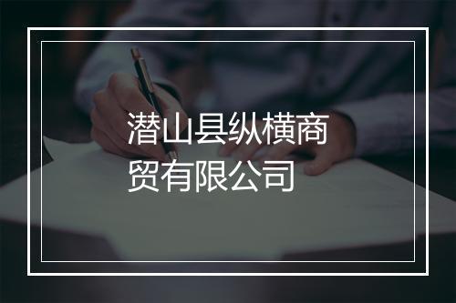 潜山县纵横商贸有限公司