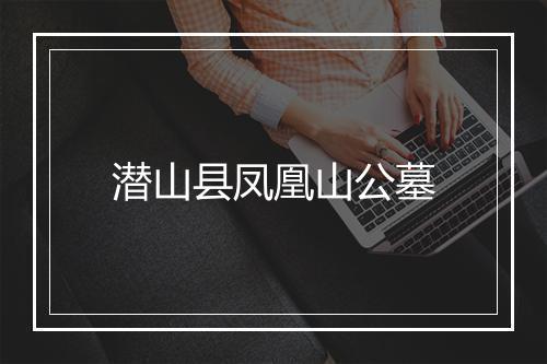 潜山县凤凰山公墓