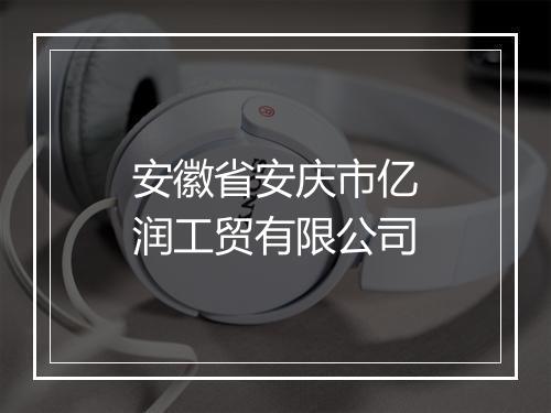 安徽省安庆市亿润工贸有限公司