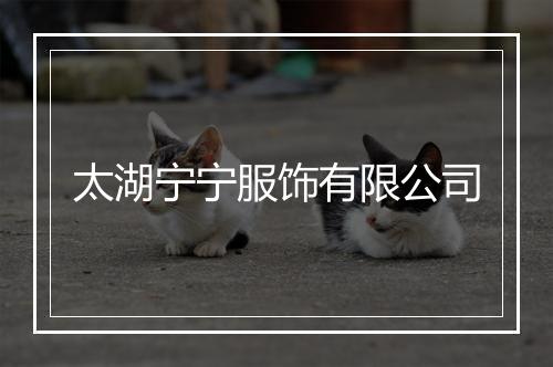 太湖宁宁服饰有限公司