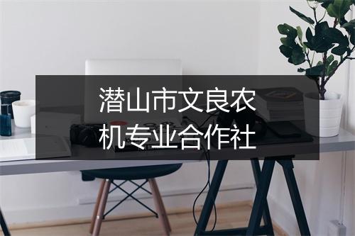 潜山市文良农机专业合作社