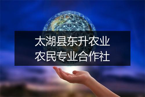 太湖县东升农业农民专业合作社
