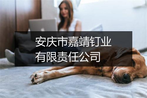 安庆市嘉靖钉业有限责任公司