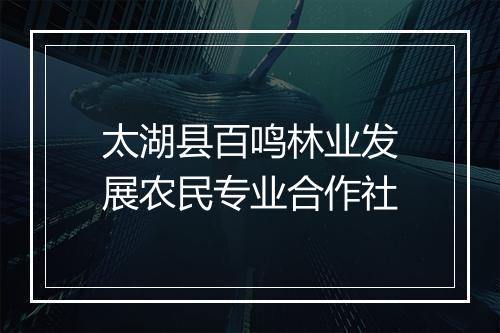 太湖县百鸣林业发展农民专业合作社