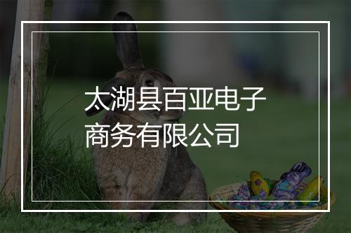 太湖县百亚电子商务有限公司