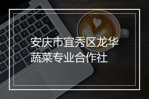 安庆市宜秀区龙华蔬菜专业合作社