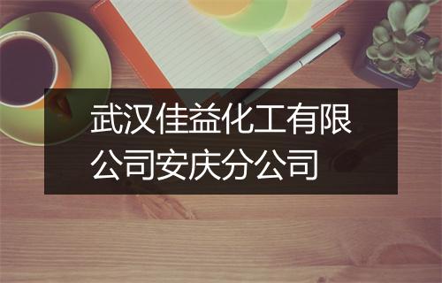 武汉佳益化工有限公司安庆分公司