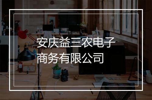 安庆益三农电子商务有限公司