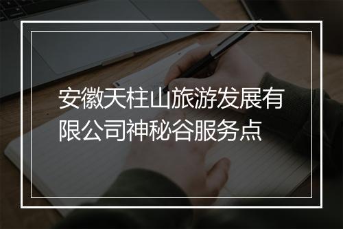 安徽天柱山旅游发展有限公司神秘谷服务点
