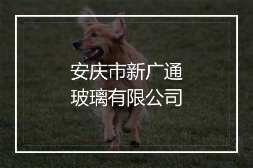 安庆市新广通玻璃有限公司