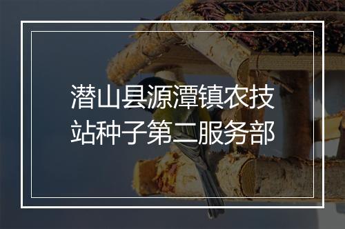 潜山县源潭镇农技站种子第二服务部