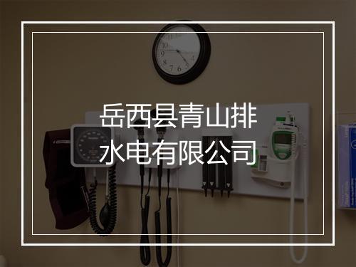 岳西县青山排水电有限公司