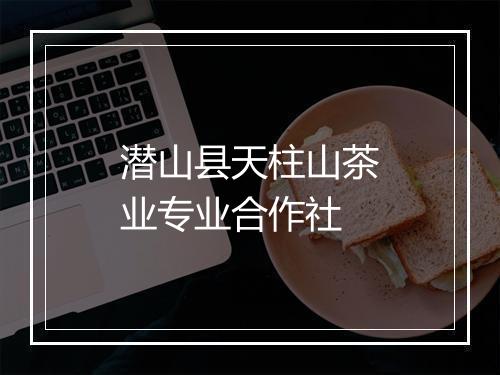 潜山县天柱山茶业专业合作社