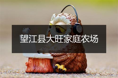 望江县大旺家庭农场