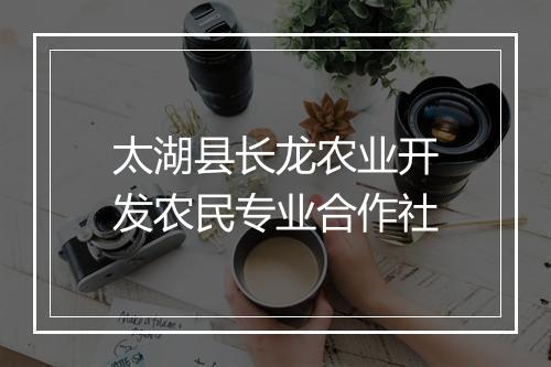 太湖县长龙农业开发农民专业合作社
