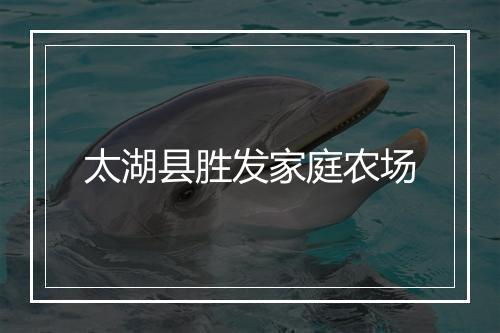 太湖县胜发家庭农场