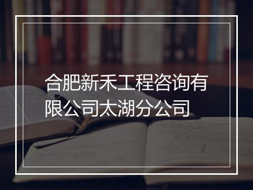 合肥新禾工程咨询有限公司太湖分公司